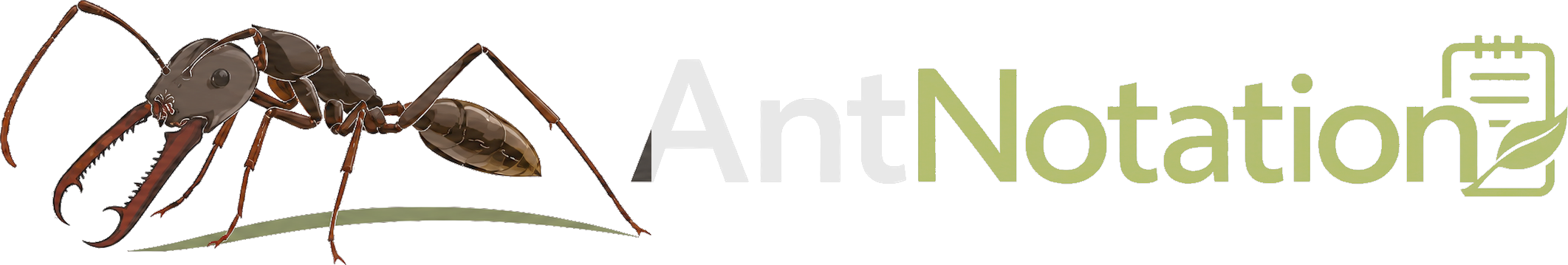 AntNotation